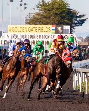 Image post by @thebloodhorse on Instagram