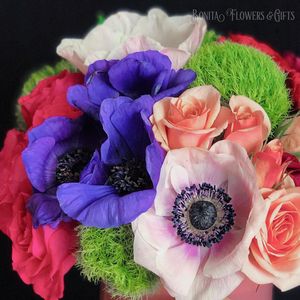 Image post by @bonita_flowers on Instagram