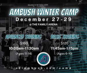 Image post by @stlouisambush on Instagram