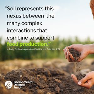 Image post by @environmental_defense_fund on Instagram