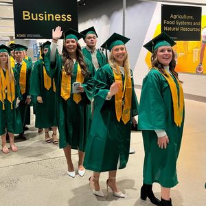 Image post by @ndsubusiness on Instagram