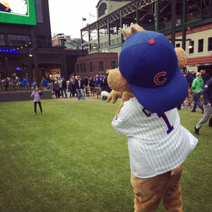 Image post by @clarkthecub on Instagram