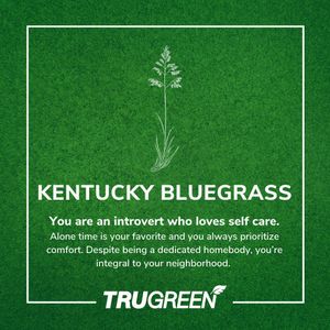Image post by @trugreen_lawn on Instagram