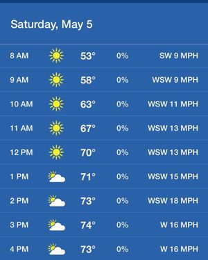 Image post by @rocredwings on Instagram