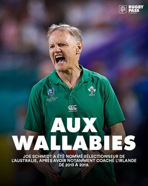 Image post by @rugbypass_fr on Instagram