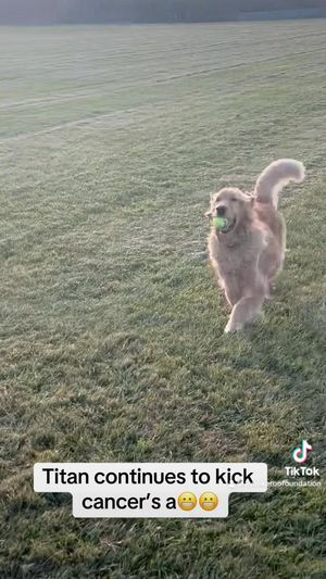 Video post by @LiveLikeRoo on Facebook