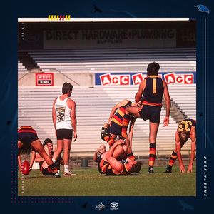 Image post by @adelaide_fc on Instagram