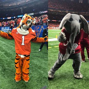 Image post by @sugarbowlnola on Instagram