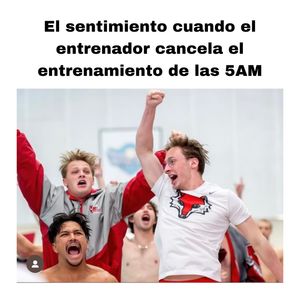 Image post by @mundodenadadores on Instagram