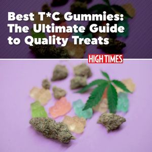 Image post by @hightimesmagazine on Instagram