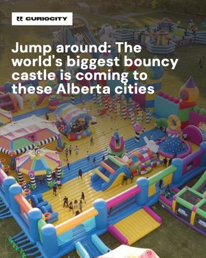 Image post by @curiocitycalgary on Instagram