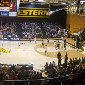 Image post by @mwsugriffons on Instagram