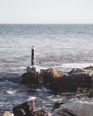 Image post by @alexhaobao on Instagram