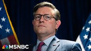 Video post by @msnbc on YouTube