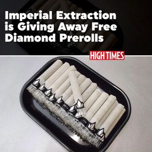 Image post by @hightimesmagazine on Instagram