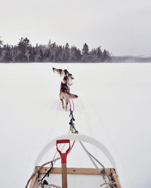 Image post by @themainemag on Instagram