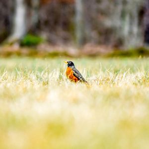 Image post by @overbeyphotography on Instagram