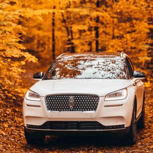 Image post by @markfickenlincoln on Instagram