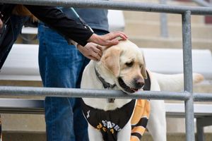 Image post by @towson_mlax on Instagram
