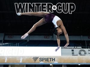 Image post by @usagym on Instagram
