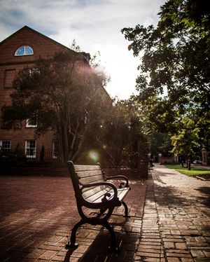 Image post by @uofsc on Instagram