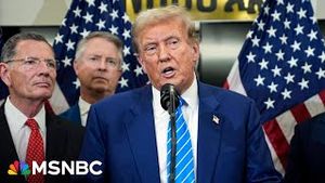 Video post by @msnbc on YouTube