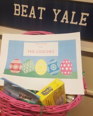 Image post by @harvardwvball on Instagram