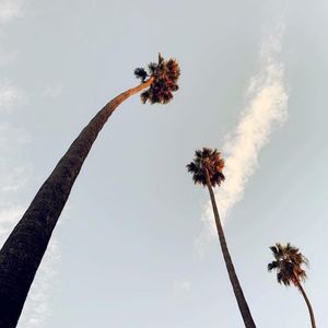 Image post by @rydehouston on Instagram