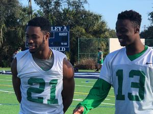 Image post by @herd_fb on Instagram