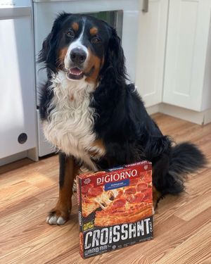 Image post by @digiorno on Instagram