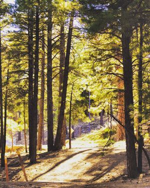 Image post by @nauflagstaff on Instagram
