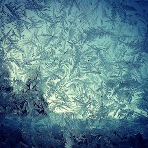 Image post by @stephiebelove on Instagram