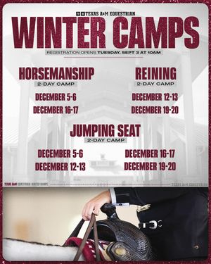 Image post by @aggieequestrian on Instagram