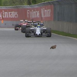 Image post by @f1gpcanada on Instagram
