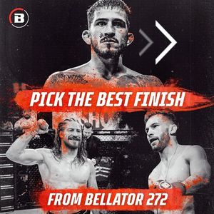 Image post by @bellatormma on Instagram