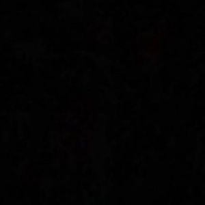 Image post by @daniellubetzky on Instagram