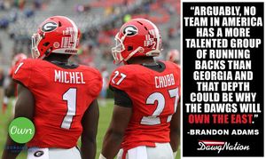 Image post by @dawgnation on Instagram