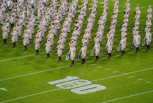 Image post by @tamu on Instagram
