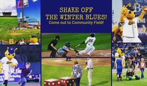 Image post by @burlington_bees on Instagram