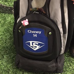 Image post by @mt_softball on Instagram