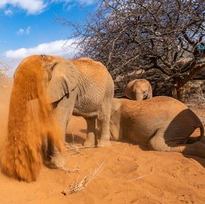 Image post by @natgeo on Instagram