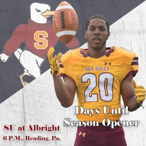 Image post by @suseagulls on Instagram