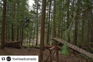 Image post by @jacksongoldstone on Instagram