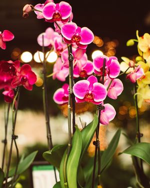 Image post by @shopbachmans on Instagram