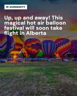 Image post by @curiocitycalgary on Instagram