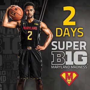 Image post by @terrapinhoops on Instagram