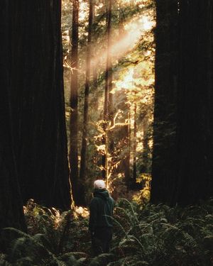 Image post by @natenvnez on Instagram