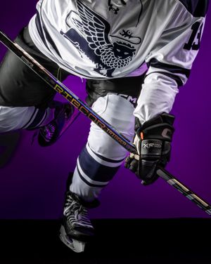 Image post by @purehockey on Instagram