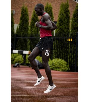 Image post by @bowermantc on Instagram