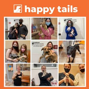 Image post by @spokhumanesoc on Instagram